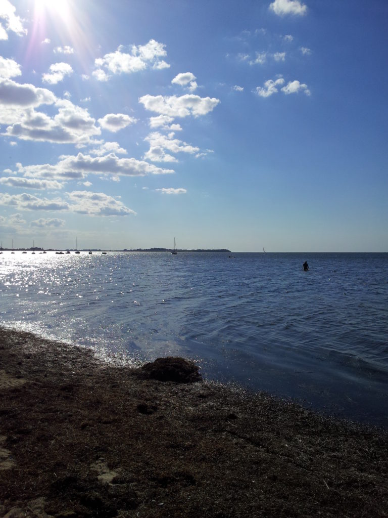Blick auf die Ostsee – von Pepelow am Salzhaff aus